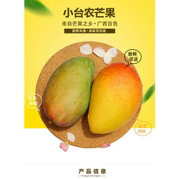 夏日甜心 现摘现拍的百色芒果，大台农与小台农的味蕾之舞